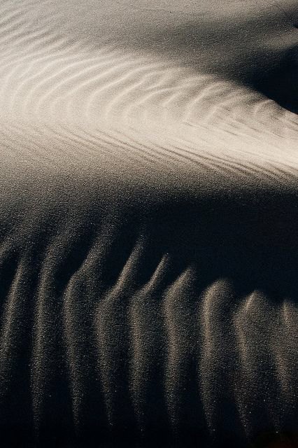 Wind-drawn ridges in Egyptian sand